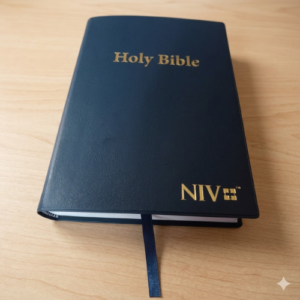 New International Version (NIV) Holy Bible