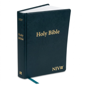 New International Version Bible price