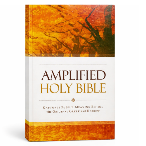Amplified Holy Bible Price