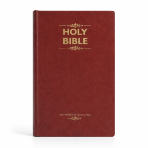 KJV Holy Bible Price