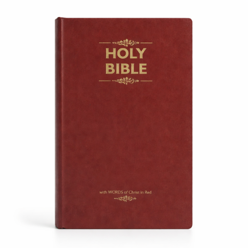 KJV Holy Bible Price