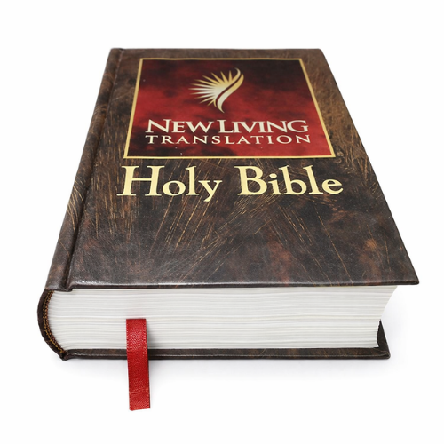 NLT Compact Edition Price