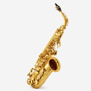 Alto Saxophone Price
