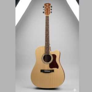 Professional Acoustic Lead
