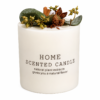 Oud scented
