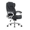 Executive Ergonomic Stylish Office Chair